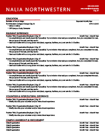 Resume example