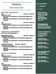 Resume example