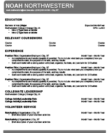 Resume example