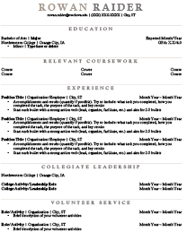 Resume example