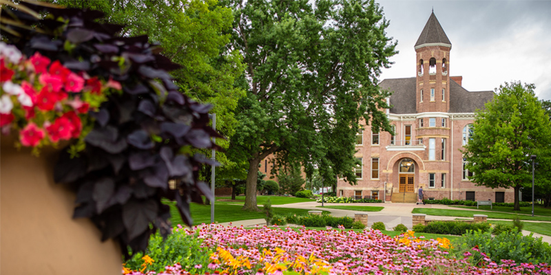 Campus in the summer