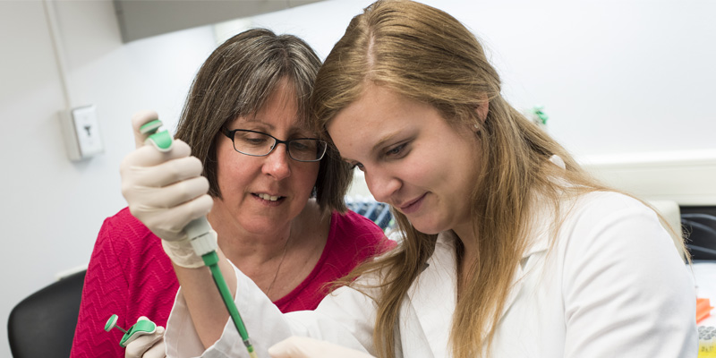 Northwestern professor and student conducting science research