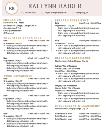 Resume example